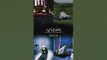 سورة الأحزاب- القارئ / ماهر المعيقلي