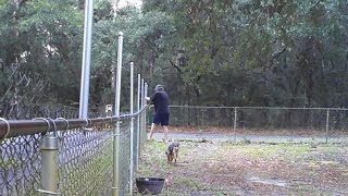 Chain link fence two foot extension part 2