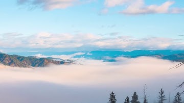 سورة الإنسان - القارئ عمر هشام العربي - تلاوة مميزة جداً - HD