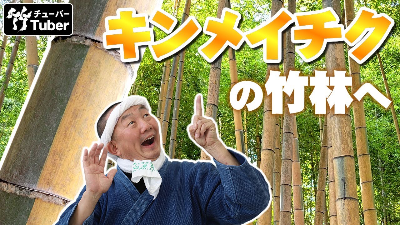 竹虎】1万坪の竹林にて金明孟宗竹と黄金孟宗竹に会う！ 竹チューバー