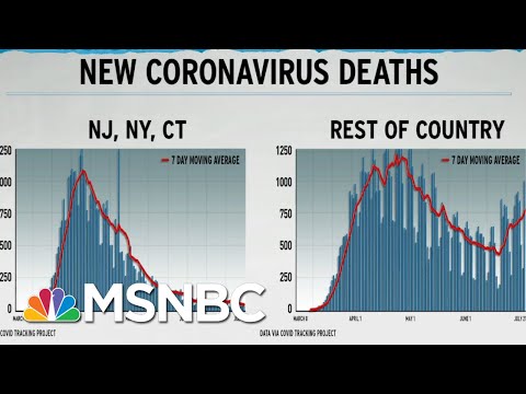 Dire U.S. COVID-19 Death Rate Seen In Graph Excluding NY, NJ, CT | Rachel Maddow | MSNBC