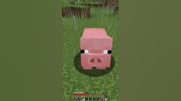 How to feed and breed Pigs in Minecraft | #shorts