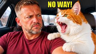 My Cat Talks Back Like a Human... And Always Wins! 😂