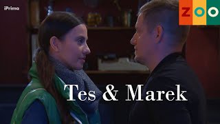 ZOO || Marek a Tes || Toulavá