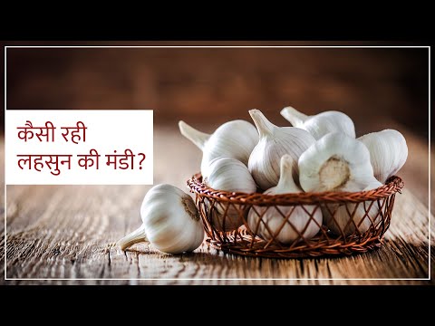लहसुन के बाजार भाव का हाल | 8 मार्च ||MP Market Price| #shorts - लहसुन के बाजार भाव का हाल | 8 मार्च ||MP Market Price| #shorts
