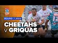 Super Rugby Unlocked | Cheetahs v Griquas - Rd 7 Highlights