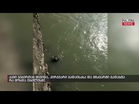 კაცი ჯებირთან მივიდა, პირჯვარი გადაისახა და მტკვარში გადახტა - რა მოხდა თბილისში
