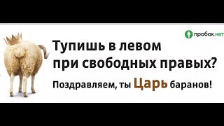 Левородные тупорезы и тошноты. Мурманское шоссе.....Лето 2018