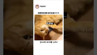 공동육아하면 생기는일ㅋㅋㅋ