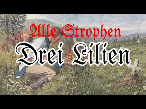 Drei Lilien - Deutsches Volkslied (Alle Strophen)