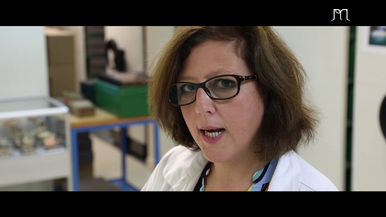 L'herbier au jardin botanique  - Jardin Botanique J.-M. Pelt | Ep. 27