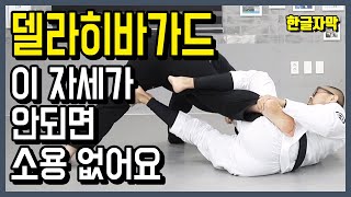 델라히바가드 핵심정리, 세팅,리커버리, 스윕 완벽정리