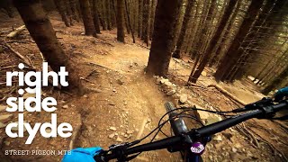 One of the most fun Golfie MTB trails | Right Side Clyde