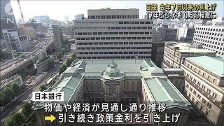 日銀 去年7月以来の利上げ　17年ぶり水準 0.5％程度に(2025年1月24日)