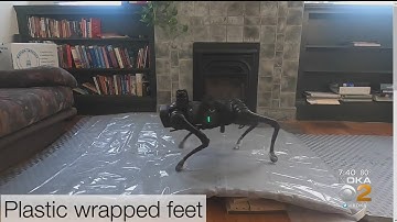 Team At CMU Develops AI Robot