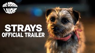 Strays (2023) | Official Red Band Trailer | Big Screen Laughs