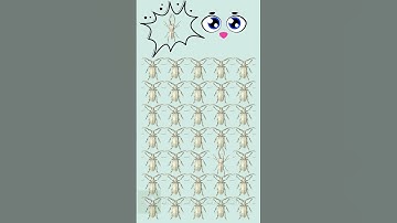 Discover familiar things you never noticed before! #decodetheleftbrain #drawing #shortvideo #shorts