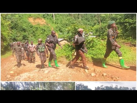 MASISI FARDC WAZALENDO DÉLOGENT LE M23 RDF À KUNYUMBA ET AVANCENT VERS NYABIONDO CE 28 11 2025