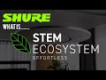 What is stem introduction to the stem ecosystem