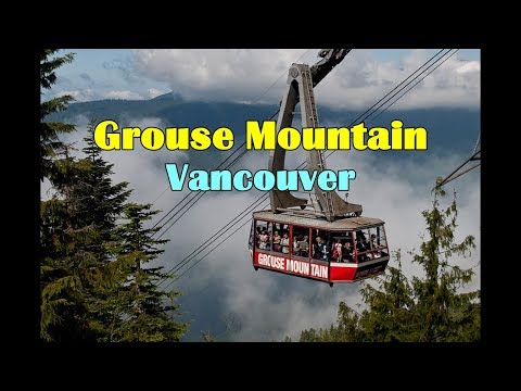 Grouse Mountain - The Peak of Vancouver. Canada. @TheLaffen79