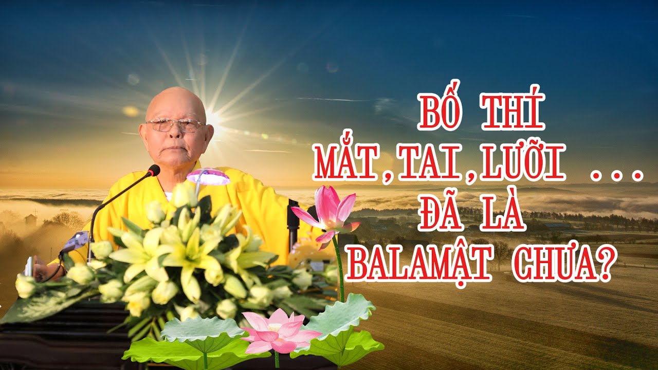 BỐ THÍ MẮT TAI MŨI, VỢ CON ... CÓ PHẢI LÀ BỐ THÍ BA-LA-MẬT? - Hòa thượng TỪ THÔNG