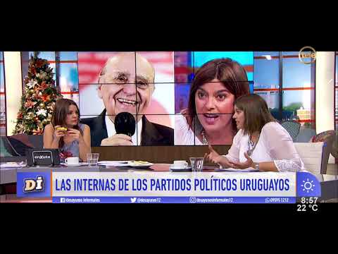 ¿Cómo empieza el año electoral?: el análisis de Mariana Pomiés