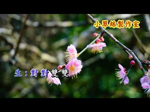 春風報喜 - 文千歲 小翠絲
