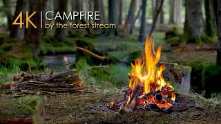 Forest Campfire by the Small Stream Relaxing Sounds & Sleep