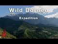 Wild borneo expedition