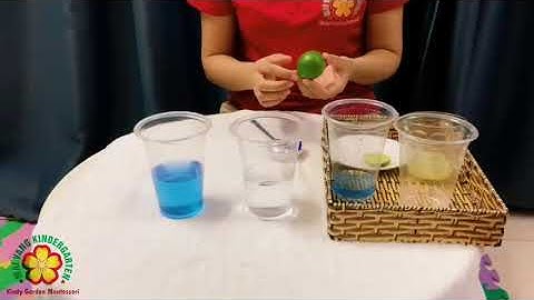 Thí nghiệm sự đổi màu hoa đậu biếc