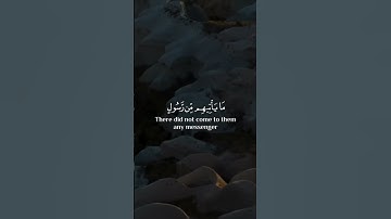 يا حسرة على العباد .  تلاوة خاشعة ومؤثرة للشيخ ماهر المعيقلي