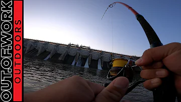 Striped Bass Hybrid Catch and Cook | Dam Spillway Fishing Edition - OOW Outdoors