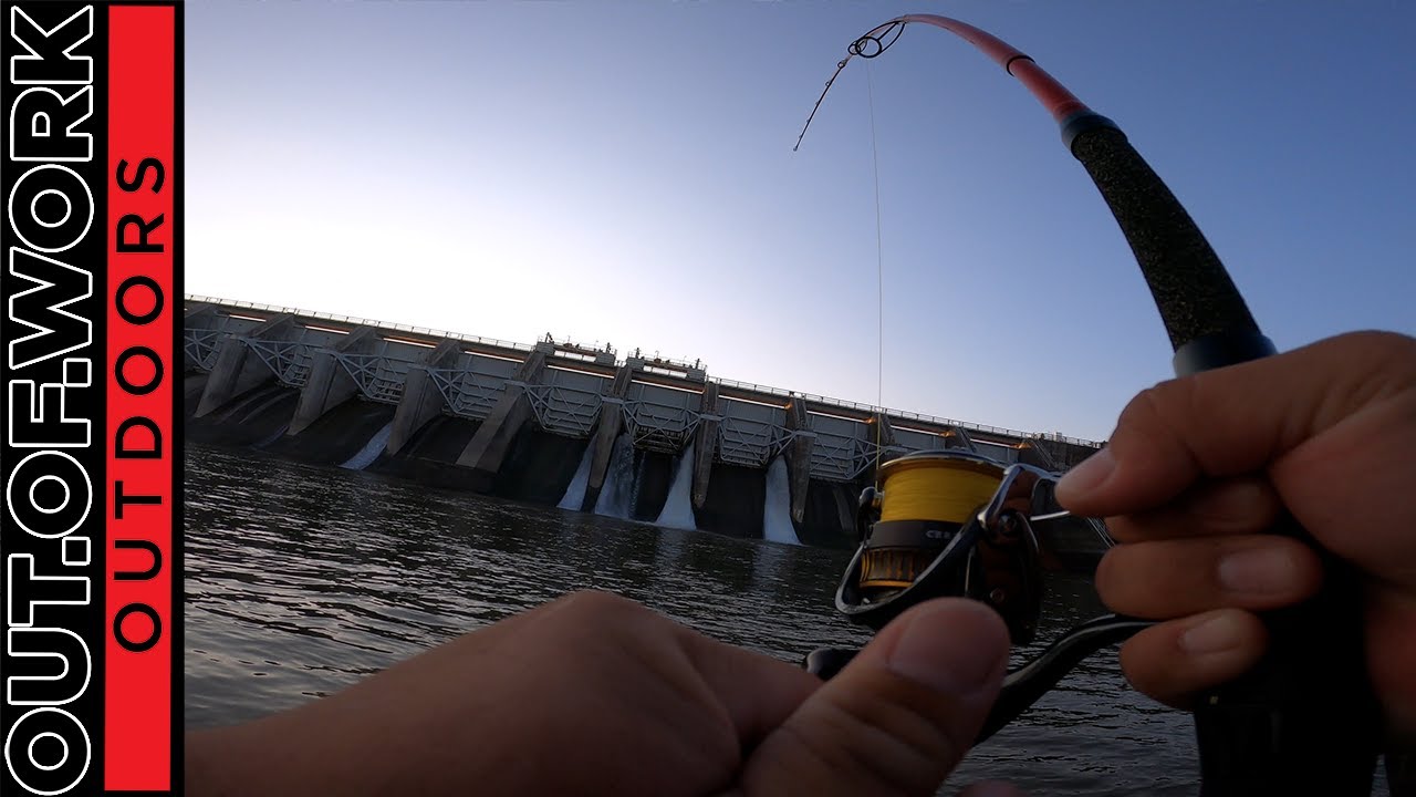 Striped Bass Hybrid Catch and Cook  Dam Spillway Fishing Edition - OOW  Outdoors 