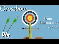 Crossbow || Diy crossbow from banana tree || How to make crossbow at home