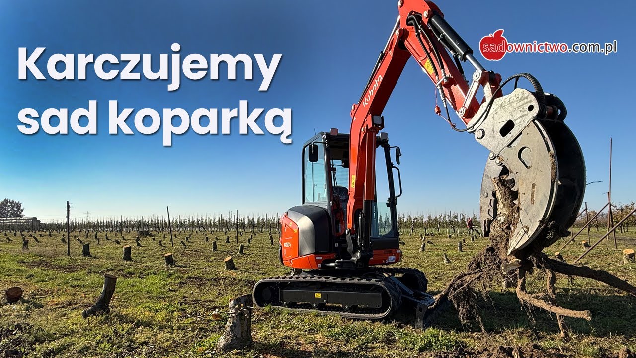 Ile trwa wyrywanie korzeni? Sprawdzamy.