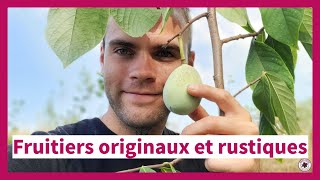 Arbres Fruitiers Originaux Qui Résistent Au Froid