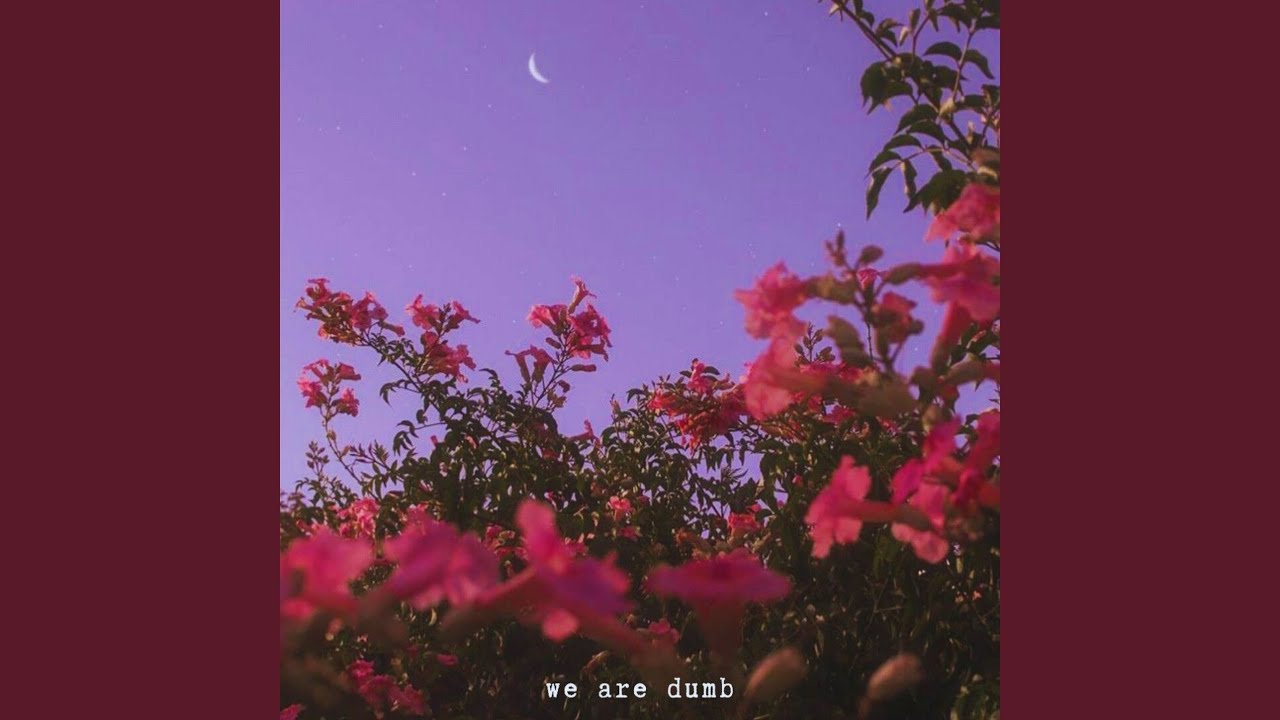 Dumb adlı videoyu YouTube'da izle Dumb adlı videoyu YouTube'da izle