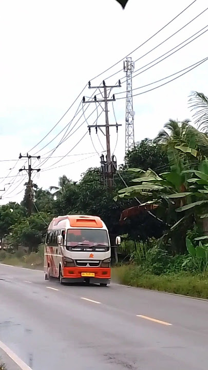 Pemain ujg gading- pekan baru #busmania #foryou #viralyoutube
