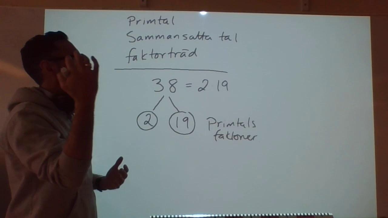 Tal Primtal och Faktorträd - YouTube