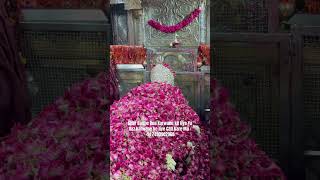 🥰Mira Datar Dargha🥰 New Status Qawwali🥰 All Problem Solution | Dargha Sharif Mo +91-7490902968