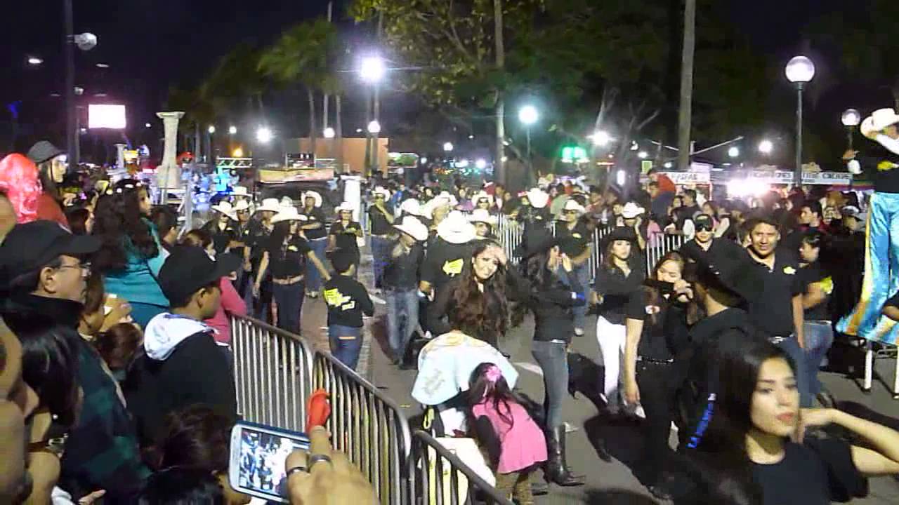 CARNAVAL TAMPICO 2015 - CORTOS DESFILE 2o. DIA