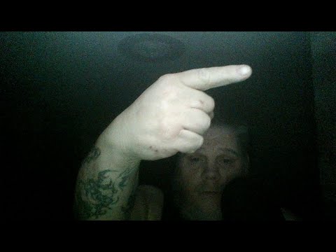 pythons for sale Late Night With Andrew (DEA)