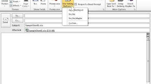 Excel 2010 Add Voting Buttons to an E-mail Message
