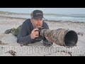 How I photograph shorebirds // BIRD PHOTOGRAPHY with nikon Z9 auto capture