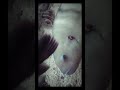 روحت جنينه الاسماك مش هتصدقو شفت اي