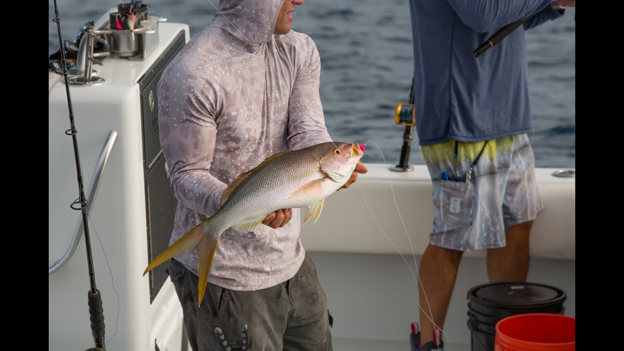  Yellowtail Snapper Weighted Circle Hook Jig