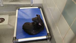 acs A686569