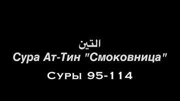 قراءة كاملة لمختلف السور من سورة القرآن 95 - 114 / القارئ: محمد اللهيدان