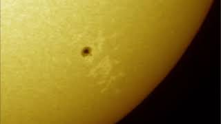 Sole – macchia AR2824 ripresa in CaK il 2021-05-20