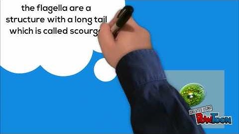 Vibration Locomotion